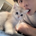 小高不吃鱼