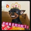 Fanxi曦