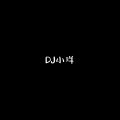 DJ小洋