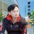 伤感情歌龙飞 - 多少次想你