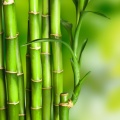 草莓乌龙