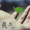 身体和灵魂的联系