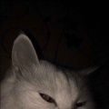 DJ李铁蛋