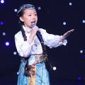 贾海棠、花田儿歌