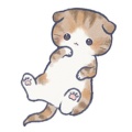 周双豪