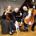 haydn trio wien
