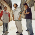 The Perceptionists