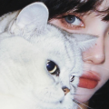 猫七七