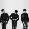 Double S 301