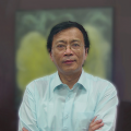 杨立青