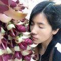 梅花、毕建新