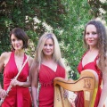 Angels Of  Venice
