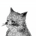 Cat naps、Dream Easy Collective