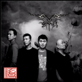 玄鸟乐队 - 大雁 (Live)
