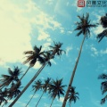 轻音乐助眠馆