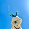 南城旧少年