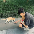 小郭不吃早饭