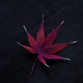 子喜
