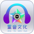 星音文化