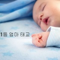 1등 엄마 태교