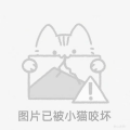 醒醒啦