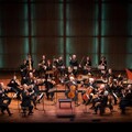 Orchestra of the Eighteenth Century