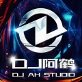 dj阿鹤、dj冰鹤、dj苏辰、DJ钰、DJ琦先森