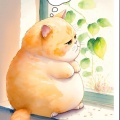 cindy迪