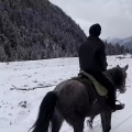 王莉敏