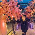 王家兴