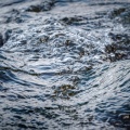 Coast to Coast Recordings、Gentle By Nature、Focus Noise