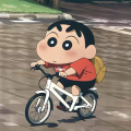 轩柏