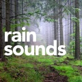 Rain Sounds、Rain Sounds for Sleep、Rain Sounds to Chill Out