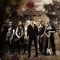 redrose