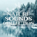Nature Sound Collection、Sleep Sound Library、Nature Sounds Nature Music