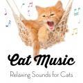 Cat Music、Music For Cats、Cats Music Zone
