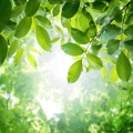 Soothing Relaxation、Boutique Hotel Music、Binaural Waves