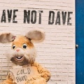 Dave Not Dave