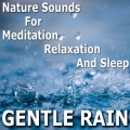 Pro Sound Effects Library、Exam Study Classical Music Orchestra、Academia de Música para Massagem e Relaxamento