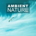 Nature Sound Series