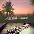 Deep Sleep Relaxation、Music for Sleep、Rain Sounds for Sleep