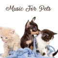 Music For Pets、Pets Relax、Relaxing Music for Pets