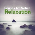 Sounds of Nature Relaxation、Nature Sound Series、Ambient Nature Project