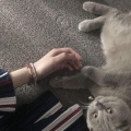 小0