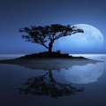 Sleep Sounds of Nature、Nature Sounds Nature Music