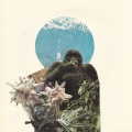 Mujo、Future of Lofi