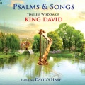 David & The High Spirit