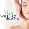 Wellness、Relaxed Minds、Kings of Nature