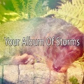 Relaxing Rain Sounds、Rain for Sleep、Rain Drops for Sleep