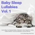 Sleep Magic Baby Music、Lullaby Sleep Haven、Sleep Lullabies for Newborn、Little Baby Dreams